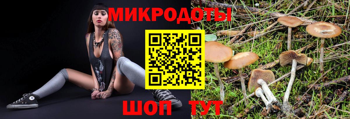 Псилоцибиновые грибы Psilocybine cubensis  Вход с VPN  Комсомольск-на-Амуре 